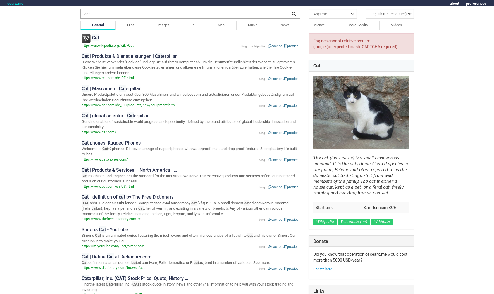 A search for "cat", using Searx's default theme.